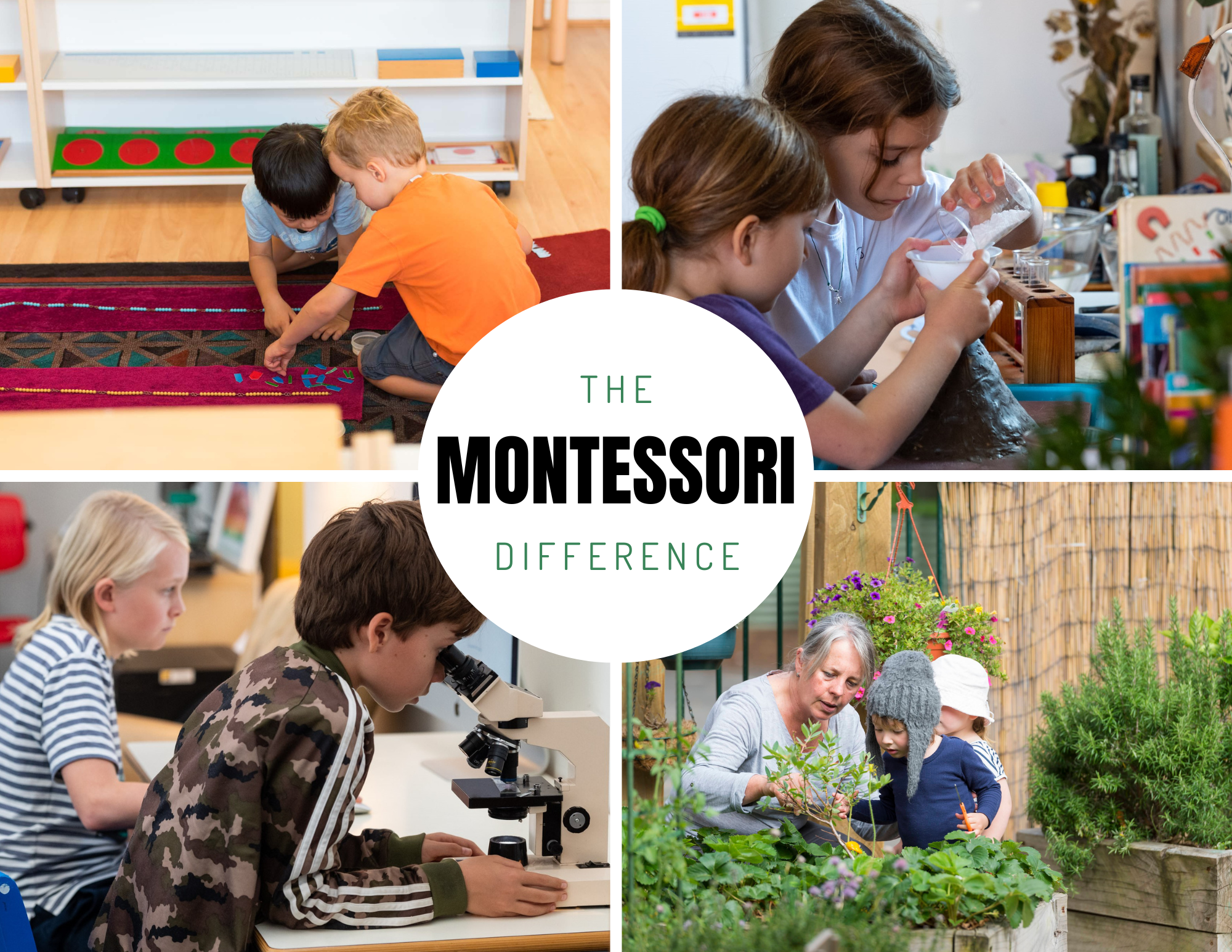 The Montessori Difference