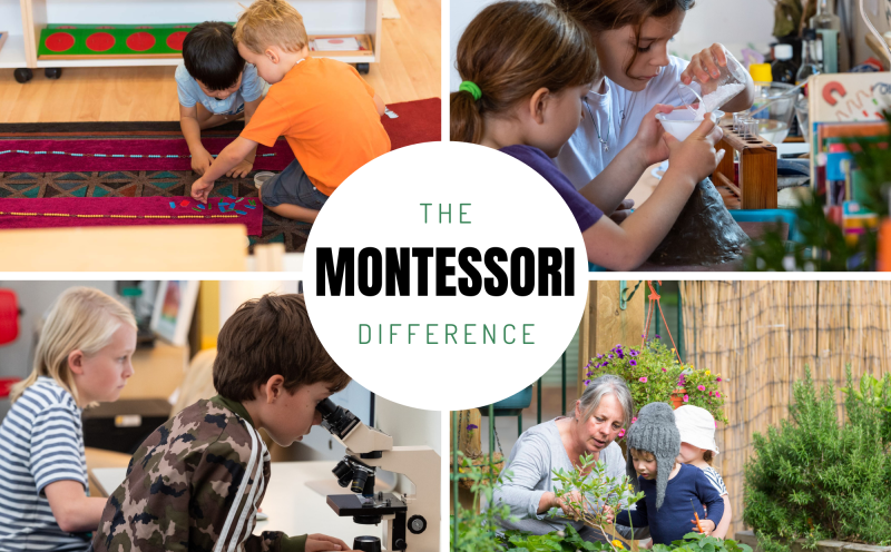 The Montessori Difference